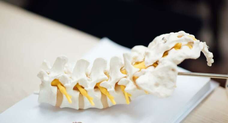 6 Ways Chiropractic Care Aids Auto Accident Recovery